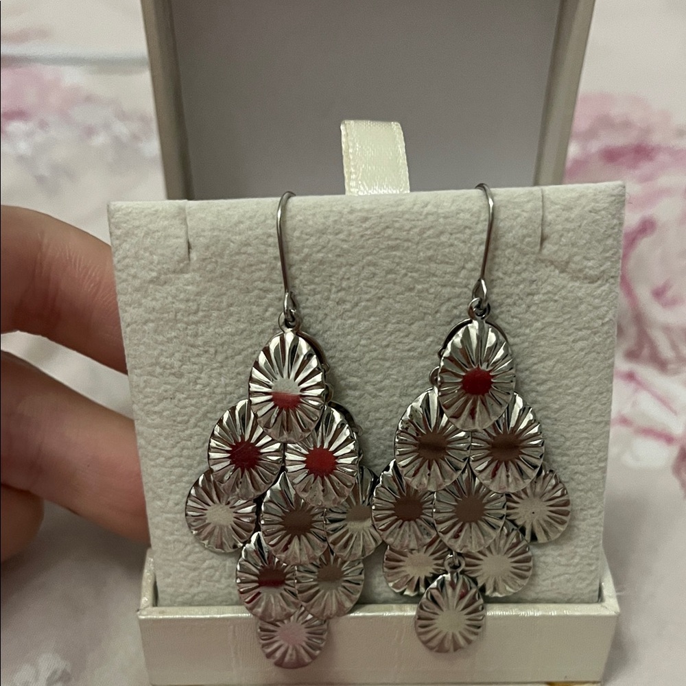 Chic Silver earrings - Picture 4 of 6